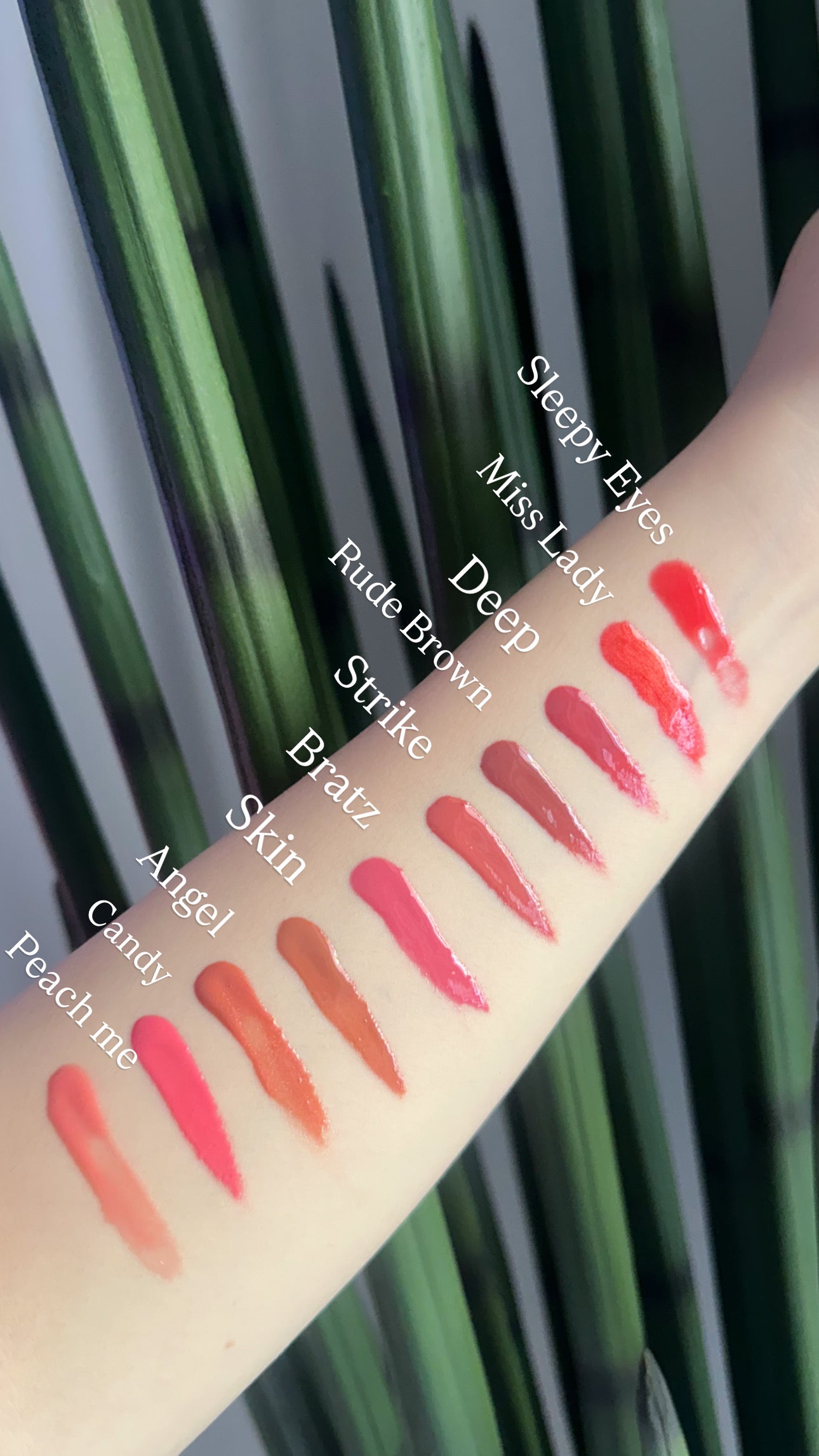 Vegan Heart Lip Gloss