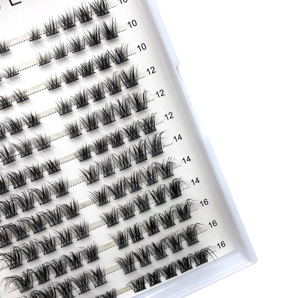 May Beauty Lashes